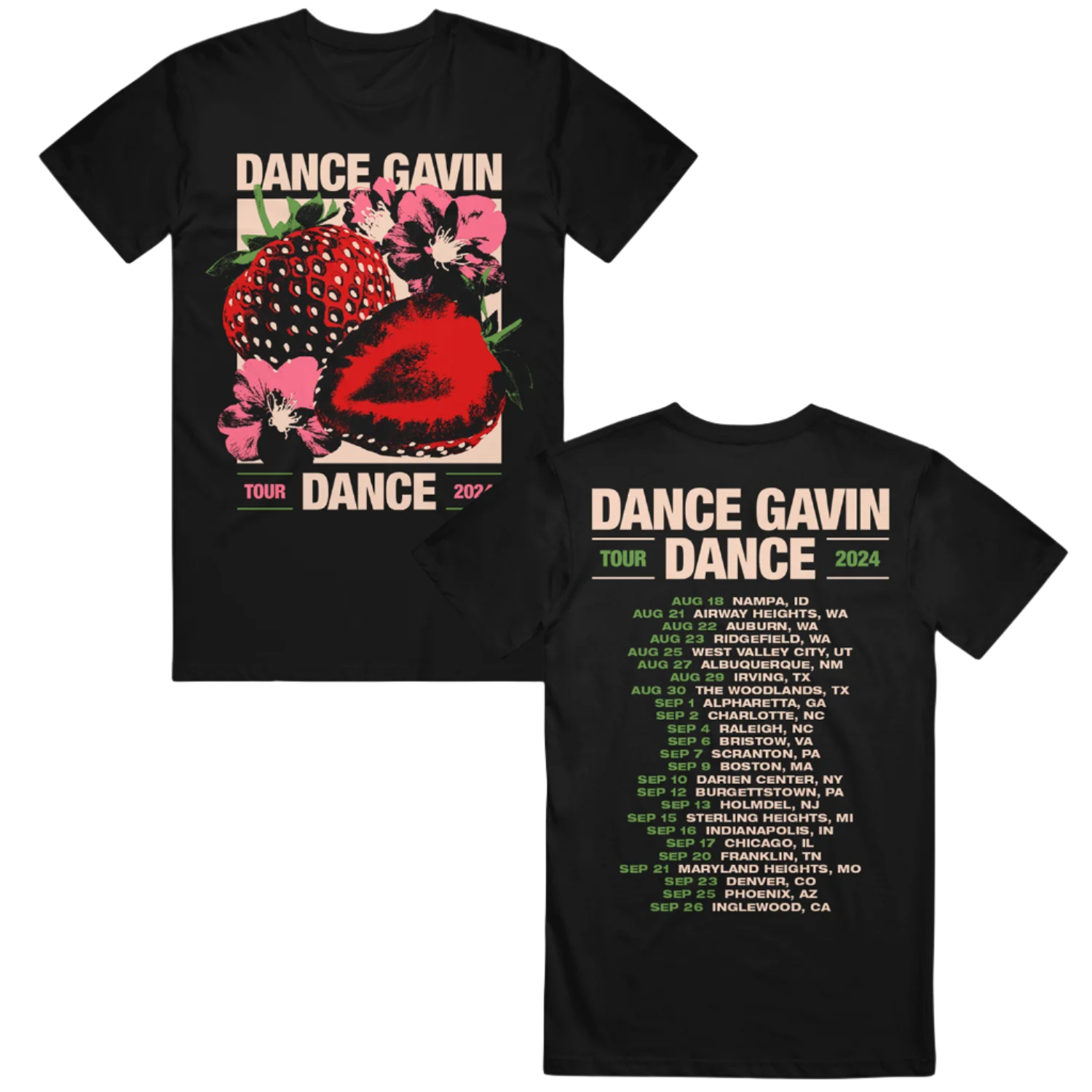 Black t-shirt with 'Dance Gavin Dance' graphic and 2024 tour dates. 